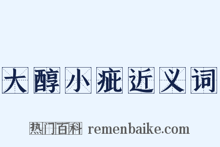大醇小疵近义词是什么意思的图片